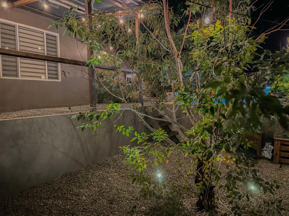 Lama Y Solo Unique Private Room Walking Distance To The Beach 팜비치 외부 사진